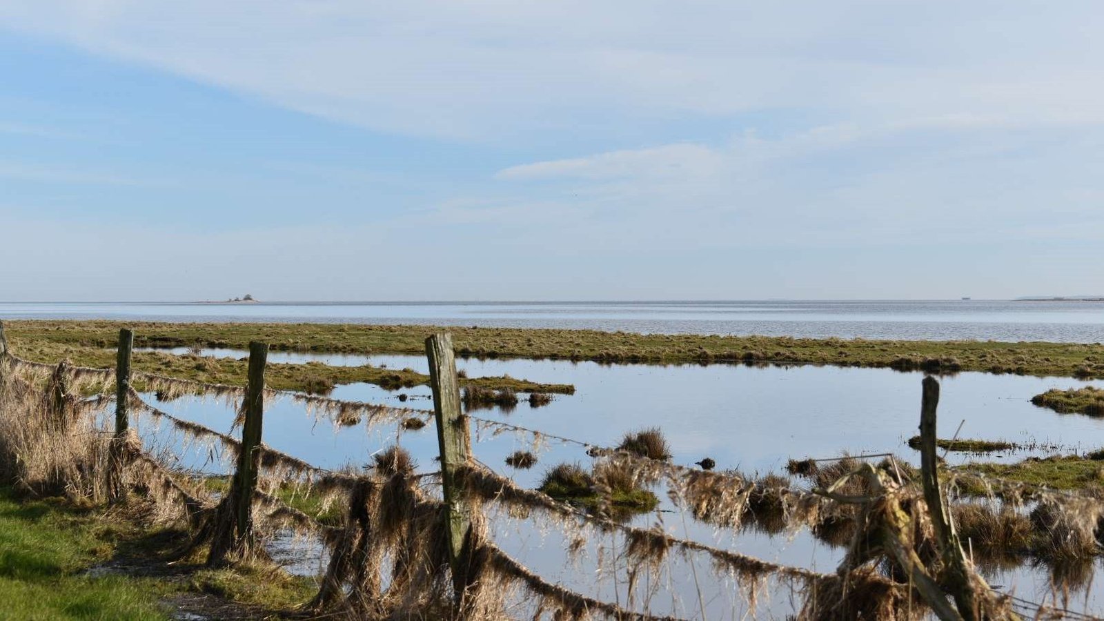 Die Insel Koos – Ein verborgenes Naturparadies in Vorpommern
